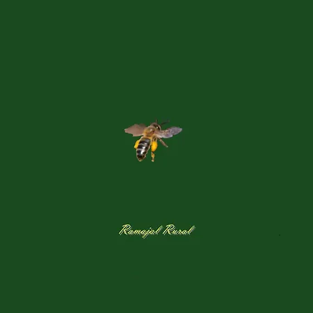 Ramajal Rural-2